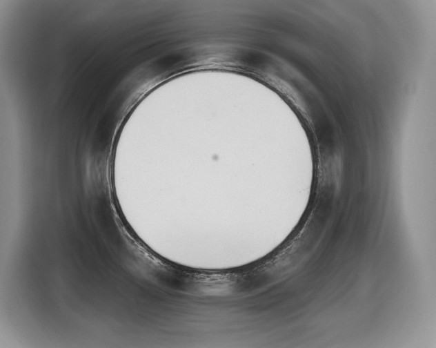 X0000116431338200912081516