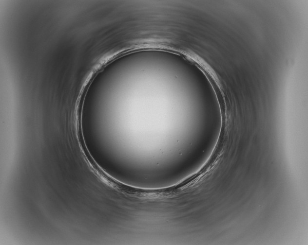 X0000116431341200912081516