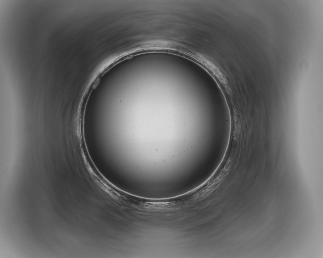 X0000116431342200912081516
