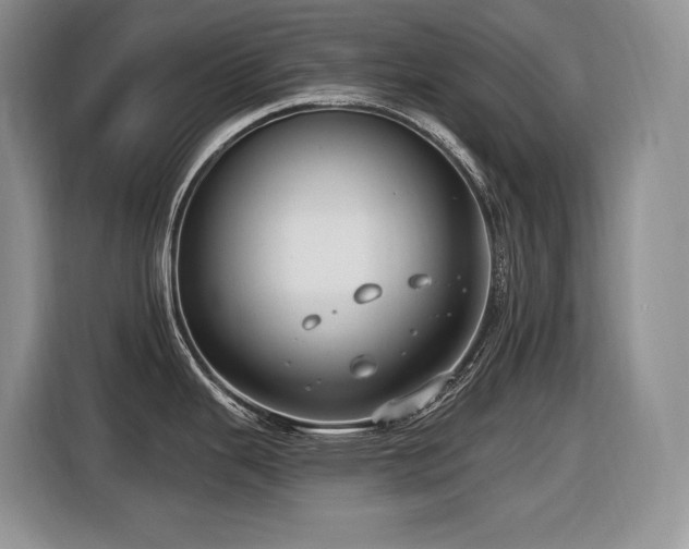 X0000116431343200912081516
