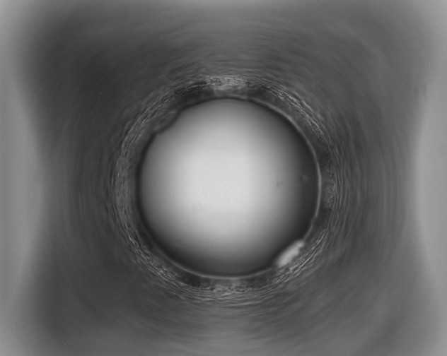 X0000116431345200912081516