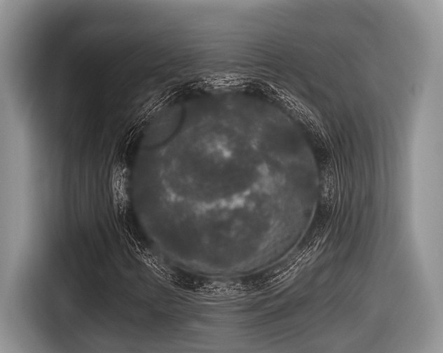 X0000116431346200912081516