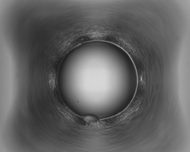 X0000116431348200912081516