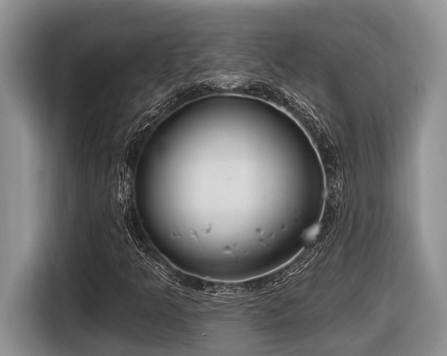 X0000116431349200912081516