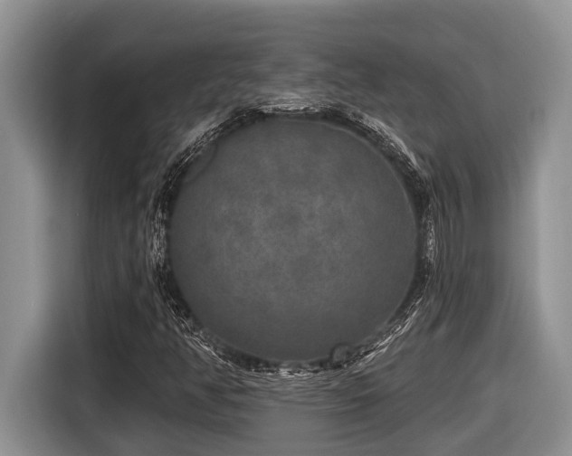X0000116431350200912081516