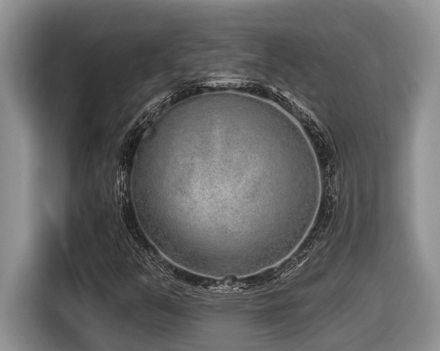 X0000116431351200912081516