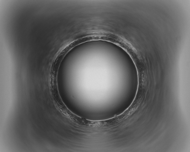 X0000116431352200912081516