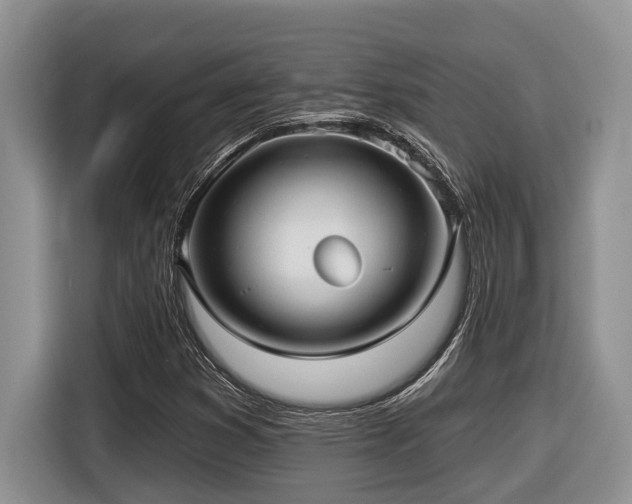 X0000116431353200912081516