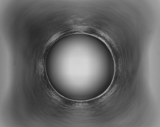 X0000116431354200912081516