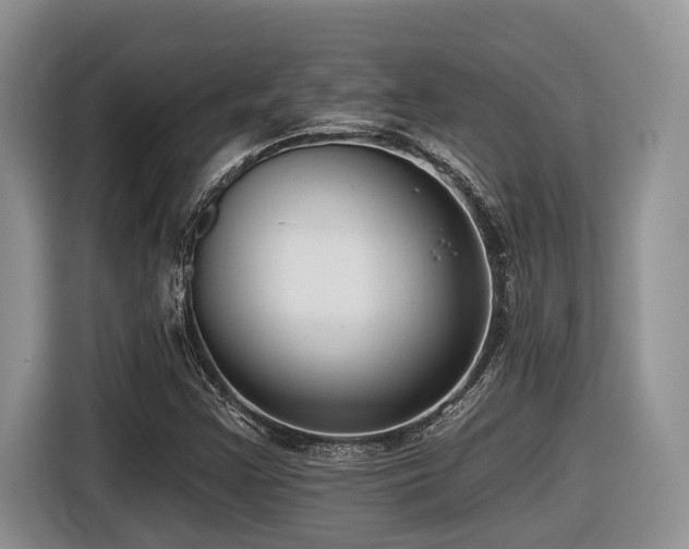 X0000116431355200912081516
