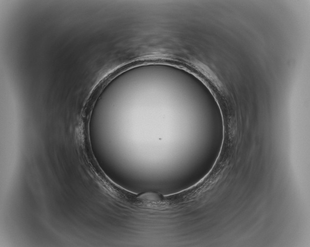 X0000116431356200912081516