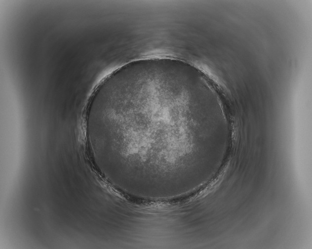 X0000116431358200912081516