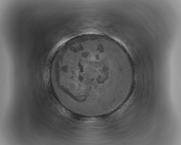 X0000116431359200912081516