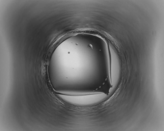 X0000116431361200912081516