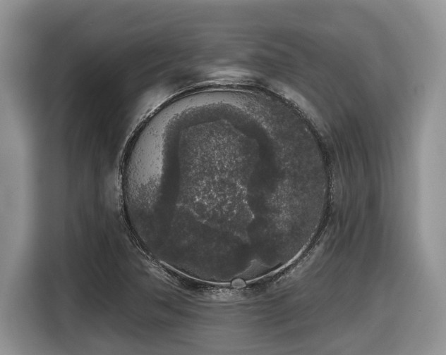 X0000116431362200912081516