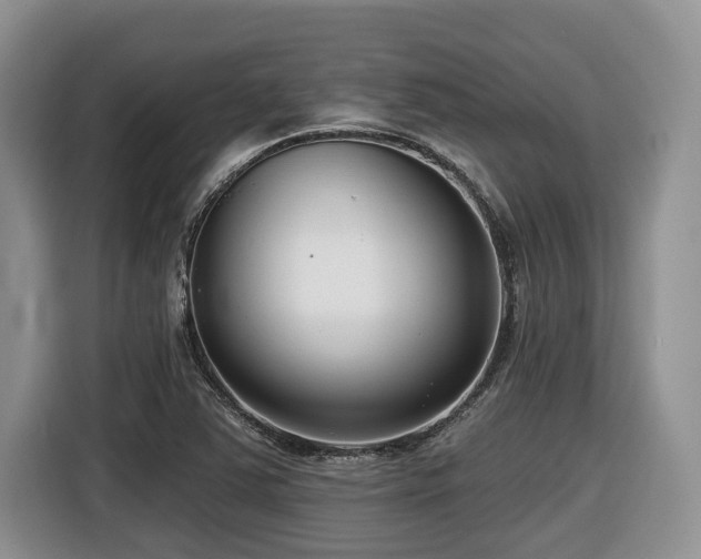 X0000116431363200912081516