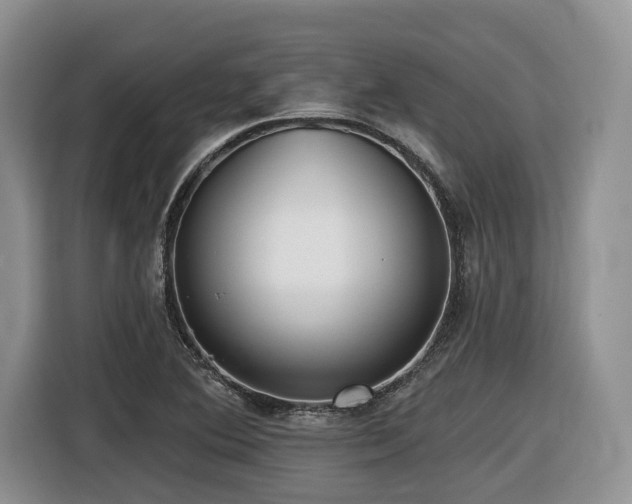X0000116431364200912081515