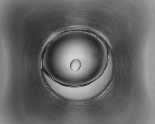 X0000116431365200912081515