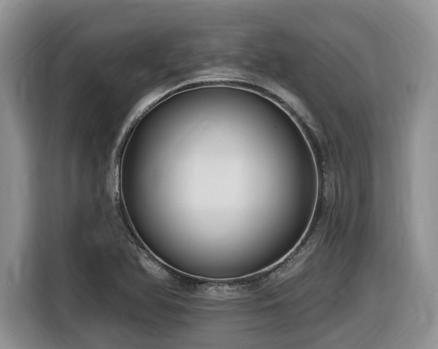 X0000116431366200912081515