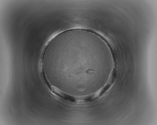 X0000116431367200912081515