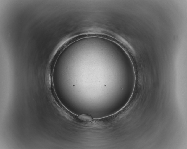 X0000116431368200912081515