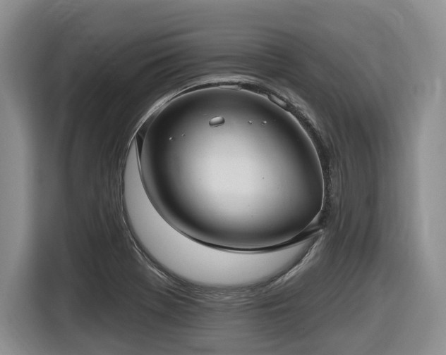 X0000116431369200912081515
