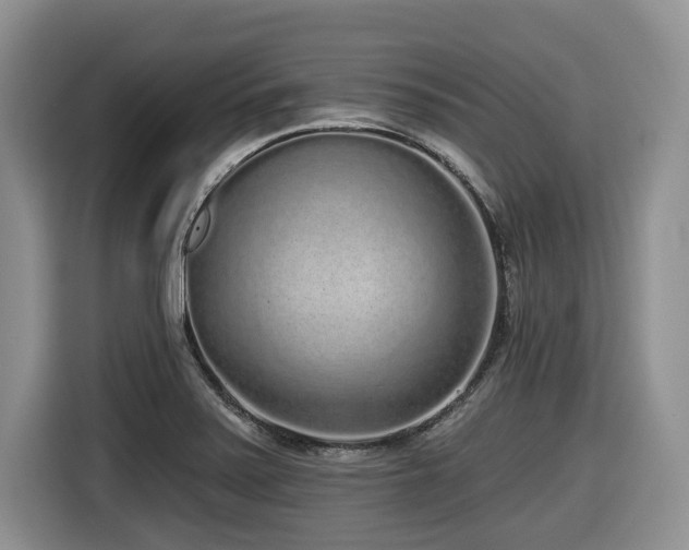 X0000116431371200912081515