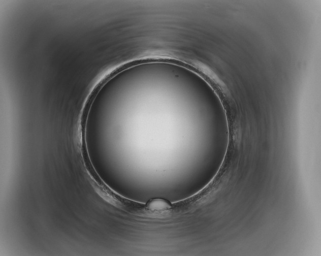 X0000116431372200912081515
