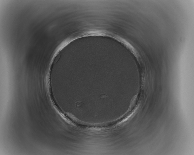 X0000116431373200912081515
