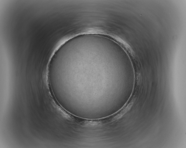 X0000116431374200912081515
