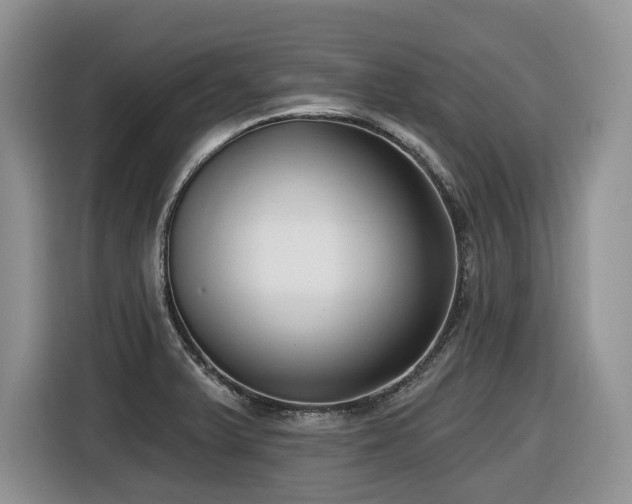 X0000116431375200912081515