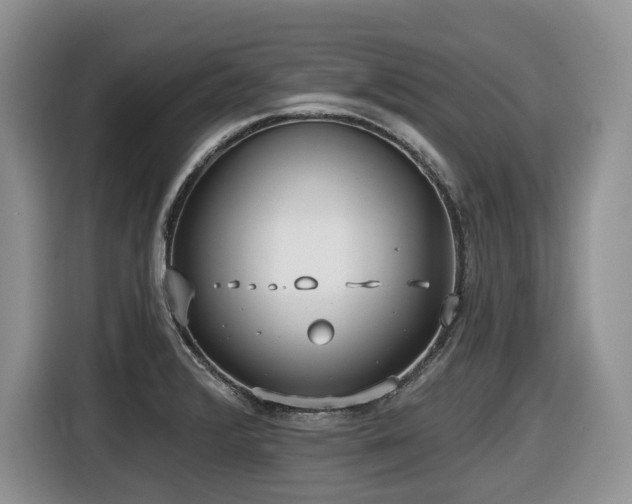 X0000116431376200912081515
