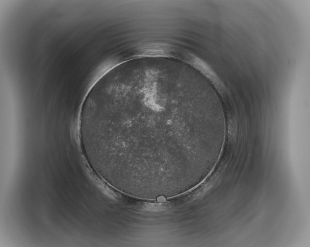 X0000116431378200912081515