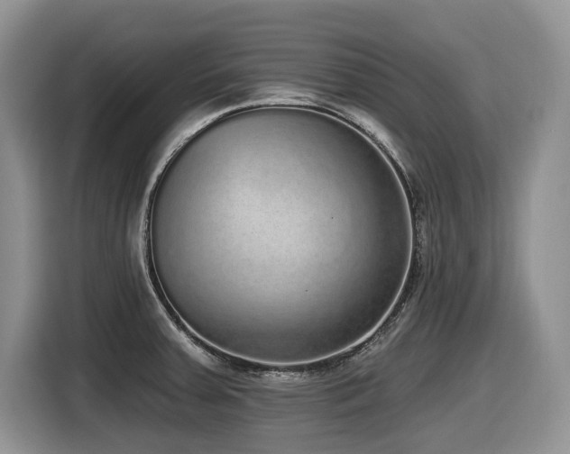 X0000116431379200912081515