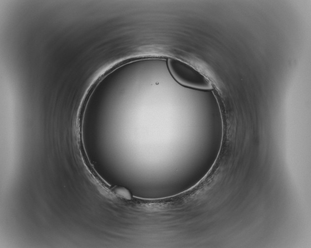 X0000116431380200912081515