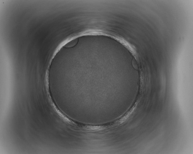 X0000116431382200912081515