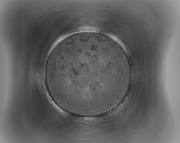 X0000116431383200912081515