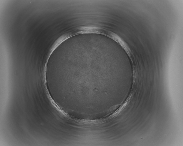 X0000116431386200912081515
