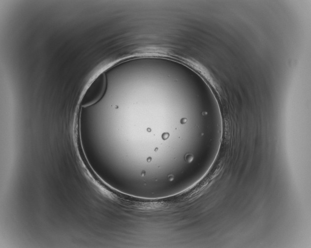 X0000116431387200912081515