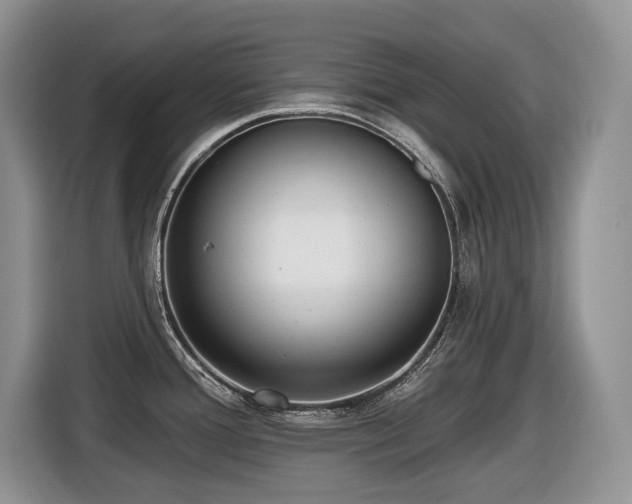 X0000116431388200912081515