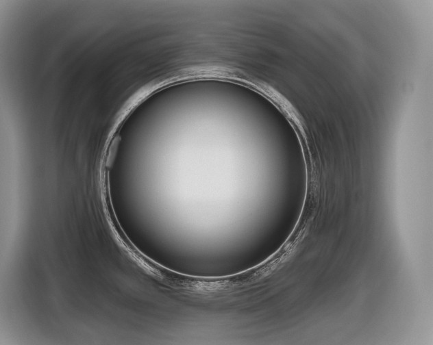 X0000116431389200912081515