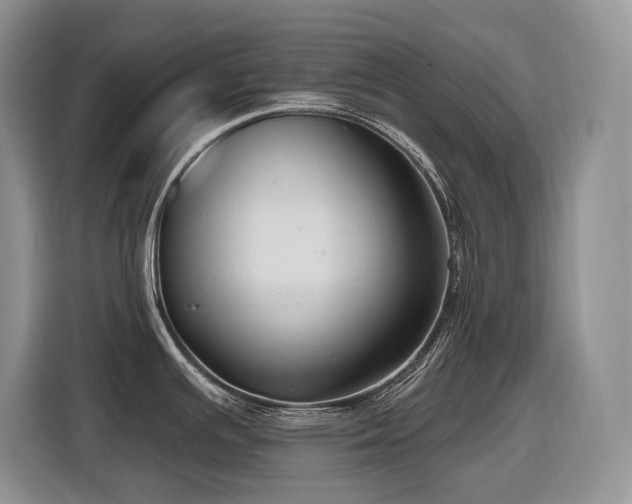 X0000116431391200912081515