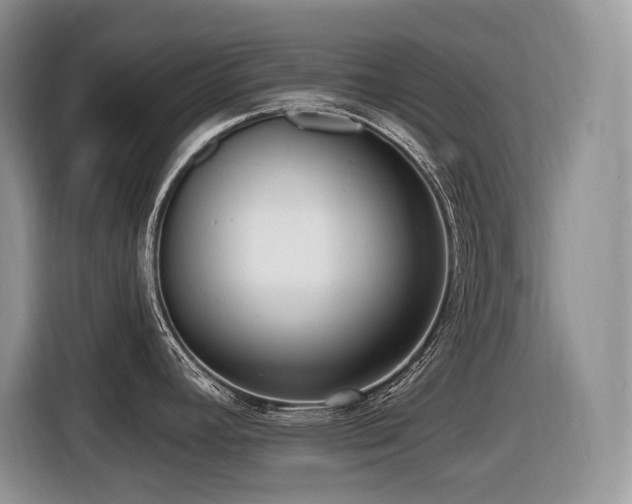X0000116431392200912081515