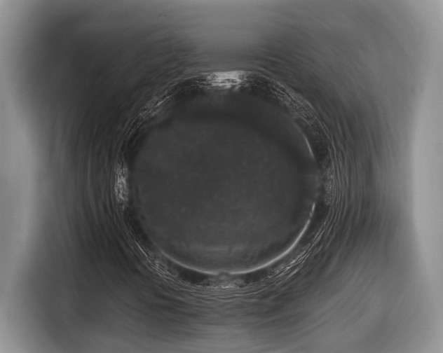 X0000116431394200912081515