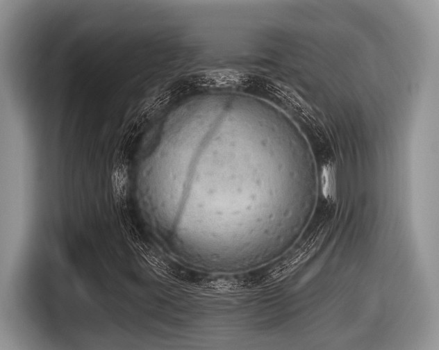 X0000116431395200912081515
