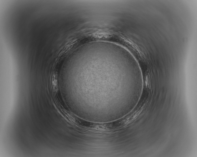 X0000116431396200912081515