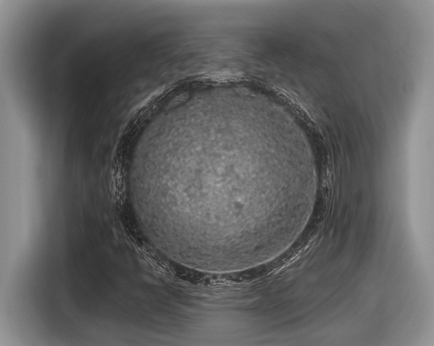X0000116431398200912081515