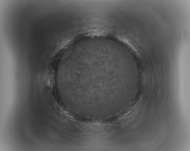 X0000116431399200912081515