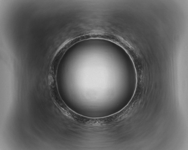 X0000116431400200912081515