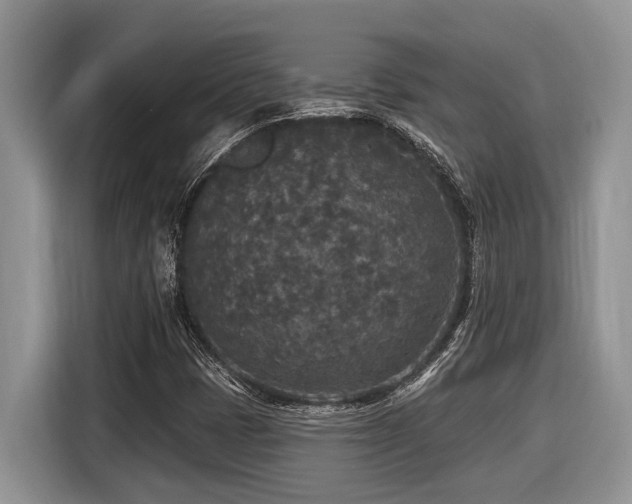 X0000116431401200912081515
